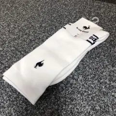 Item thumbnail for item 0fbb8309-c87e-4888-b01f-25422ba26b7f