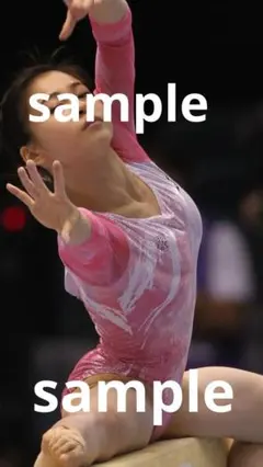 岡*嗣様 [オークション]2019年世界体操 日本女子選手画像集 約11000枚