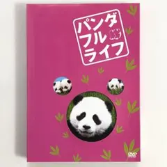 Item thumbnail for item 23fba31b-8b86-491f-b961-d589a0b4f809