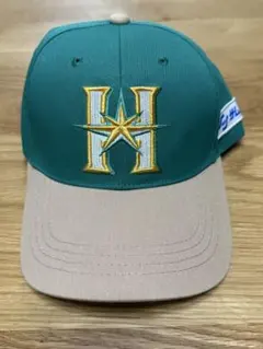 Item thumbnail for item 124ed1b5-bc57-49b6-bf08-44e93f75709f