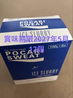 ポカリスエット アイススラリー 100g×6袋入・２箱のサムネイル