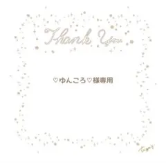 じゃらじゃらキーホルダー　専用