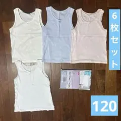 しまむら 英国M&S コットン100% 肌着　120 6枚セット　新品未使用あり