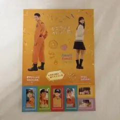 【未販売】モエカレはオレンジ色 ステッカーセット