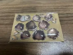 ツイステ　チェリジェムステッカー　レオナ　ラギー　各2枚セット