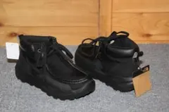 Item thumbnail for item 0d36aa49-db1f-4cbc-930a-25de93a2e45e