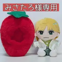 みさたろ様専用ページ