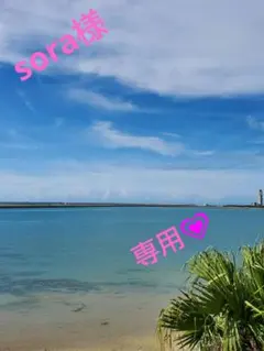 ❀sora様専用❀　ヨーグルッペバラエティセット