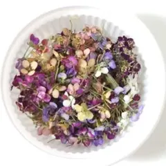 在庫処分品 ✿ アリッサム　ドライフラワー ✿