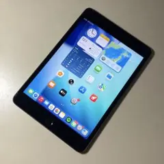 iPad mini 5 スペースグレイ 64GB Wi-Fi+Cellular