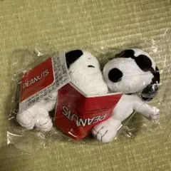 PEANUTS スヌーピー ぬいぐるみ マスコット2体セット