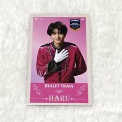 超特急 ハル エビライ インビテーションカード トレカ