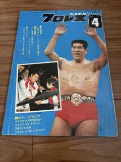 2026年最新】デストロイヤ プロレスの人気アイテム - メルカリ