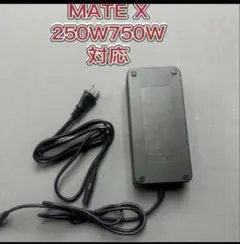 2026年最新】mate x 自転車の人気アイテム - メルカリ