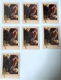 プロセカ 天馬司 ぱしゃこれ 箔押し 7枚