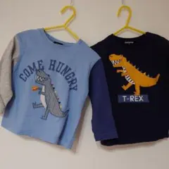 恐竜プリントTシャツセット 95cm未満