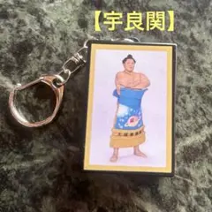 大人気の宇良関　明け荷キーホルダー