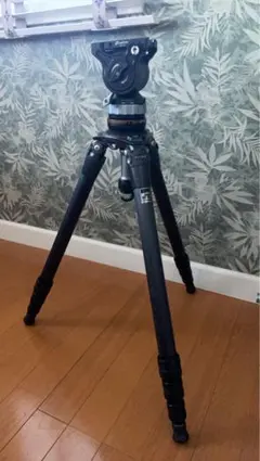 Item thumbnail for item 1a3eff46-6ebc-42ea-9125-1e303bcb01a6