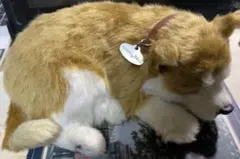 Item thumbnail for item 8e0968c5-4fc2-4496-88b3-1e1fc75cf561