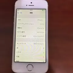 Apple iPhone 5s シルバー本体 ME336J/A