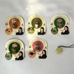 GEORGIA THE DOG キーホルダー5種6個セット