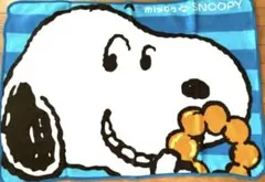 スヌーピー 膝掛けブランケット　66×96 その2 寒いこの季節にぴったり