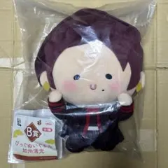 エニマイくじ 刀剣乱舞 んまほっぺ B賞 びっぐぬいぐるみ 加州清光