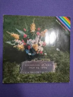 2026年最新】aphex twin レコードの人気アイテム - メルカリ