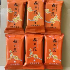 山本海苔店 梅の花 極上銘々焼海苔　ミニパック6個セット