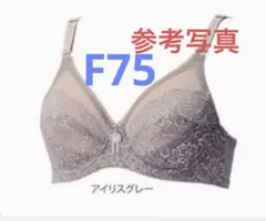 2026年最新】ダイアナ 下着 d75の人気アイテム - メルカリ