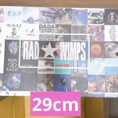 【29cm】RADWIMPS CONVERSE ALL STAR atmos