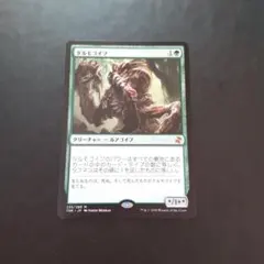 2025年最新】タルモゴイフの人気アイテム - メルカリ