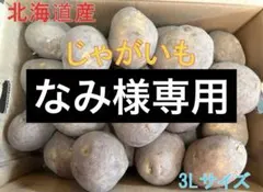【なみ様専用】北海道産野菜セット