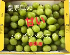 山梨農家直送　温室シャインマスカットのサムネイル
