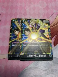 2枚　人造人間17号/人造人間18号　sr