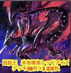 遊戯王　本格構築レッドアイズデッキ40枚＋E X15枚 遊戯王 高レアリティレッドアイズデッキ40枚＋E X15枚＋α 遊戯王