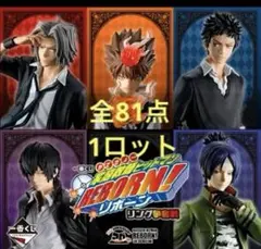 一番くじ 家庭教師ヒットマンREBORN リボーン 1ロット 未使用 