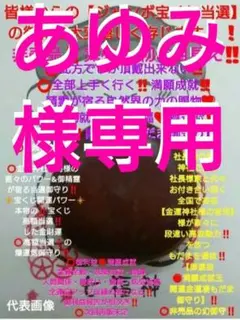 あゆみ様 リクエスト 4点 まとめ商品