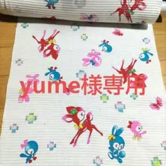 専用　他の方は　購入しないで下さい。