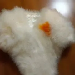 Item thumbnail for item 6e989ff8-b23a-47e2-932e-6b8b8fa73b3d