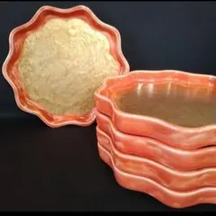 有田 錦手 贅と技の絵付け師 根之吉 根之吉窯 白椿と紅桔梗菊形皿 有田 錦手 贅と技の絵付け師 根之吉 根之吉