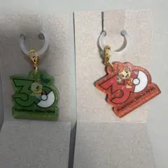 ポケモン 30周年 ポケチャーム ヒコザル　ナエトル
