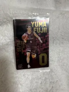 Bリーグ　ウエハース　2023-2024 藤井祐眞 川崎ブレイブサンダース