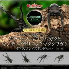 オンライン版　ギラファノコギリクワガタとマンディブラリスフタマタクワガタ　全４種