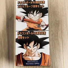 ドラゴンボール　40周年　造幣局発行　記念硬貨パンフレット