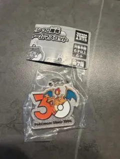 ポケモン 30周年 チャームマスコット リザードン