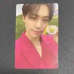 seventeen sector17 トレカ ディノ