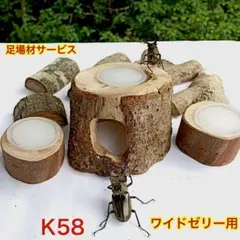2026年最新】昆虫用止まり木・インセクトシェルターの人気アイテム