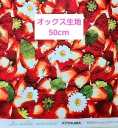 アスティンムーラー astin muhler いちご狩り気分 オックス 50cm