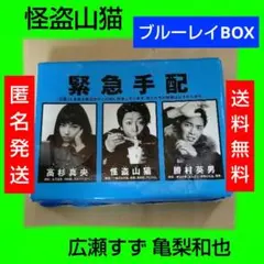 怪盗山猫 DVD 全巻セット 亀梨和也 成宮寛貴 広瀬すず 全5巻 TVドラマ